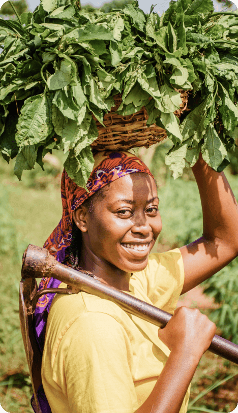 Farmer with harvest